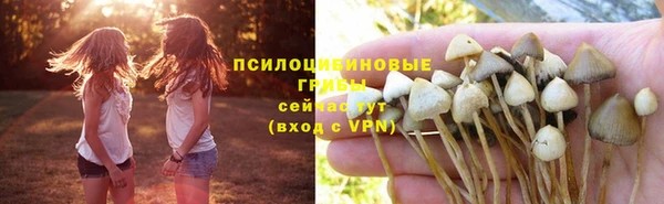 хмурый Алексеевка