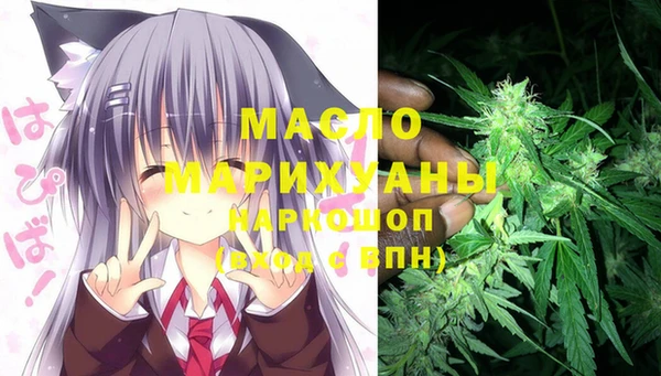 мет Алексин