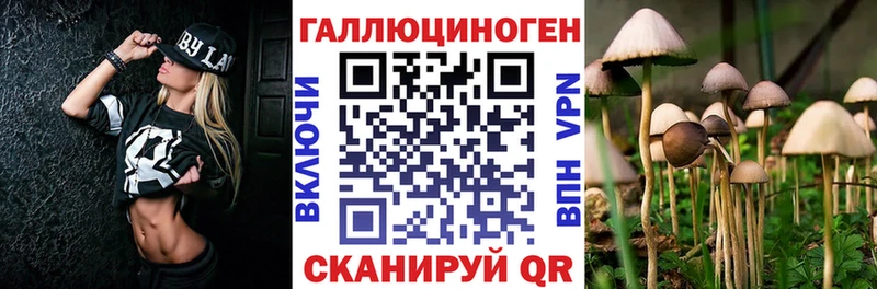 Псилоцибиновые грибы MAGIC MUSHROOMS  цены   Новоузенск 